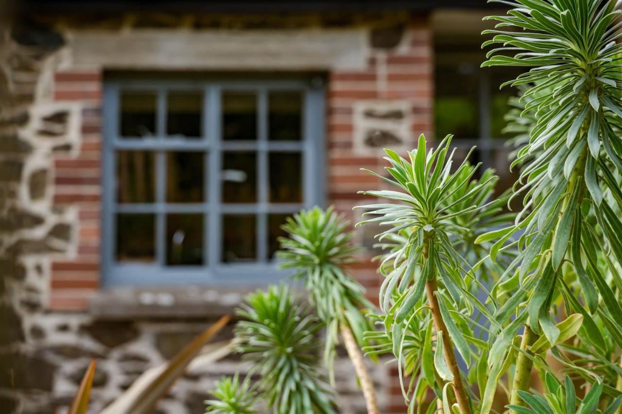 Apartament The Stables - Charming 15Th-Century Rural Bolthole Newton Abbot Zewnętrze zdjęcie